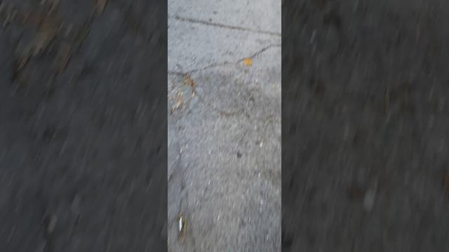 влог с басиками🧸 пошли к лагапеду? купили мороженое ввиде таба лапки? смотреть онлайн