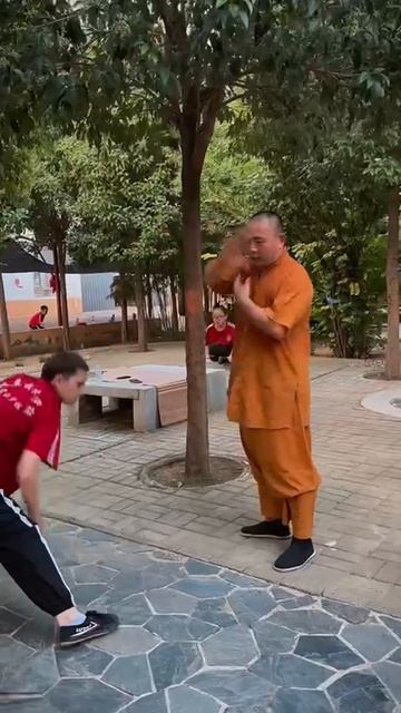 тренировка