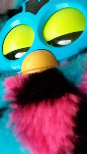 Мой фёрби бум