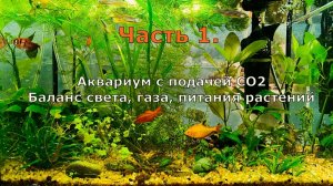 Часть 1. Баланс газа СО2, света, питания растений.