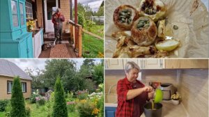 НА УЖИН ДЛЯ СЕБЯ ИСПЕКЛА ЯБЛОКИ С МЕДОМ В АЭРОГРИЛЕ, А НА ОБЕД ДЛЯ ЛЁШИКА, ШАРЛОТКУ В МУЛЬТИВАРКЕ.