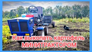 как выкопать КАРТОФЕЛЬ МИНИТРАКТОРОМ