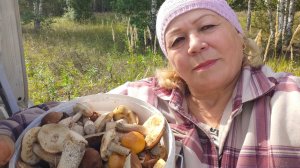 В лесу красота // нарвалась на грибы// мои любимые//