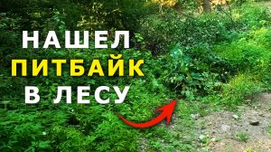 ИДУ в ЛЕС ЧИНИТЬ ПИТБАЙК и БУДУ ПРОБОВАТЬ НАЙТИ ДОРОГУ как ДОБРАТЬСЯ ДОМОЙ