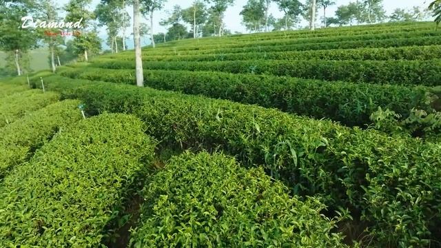 Deep House  Mix  #234