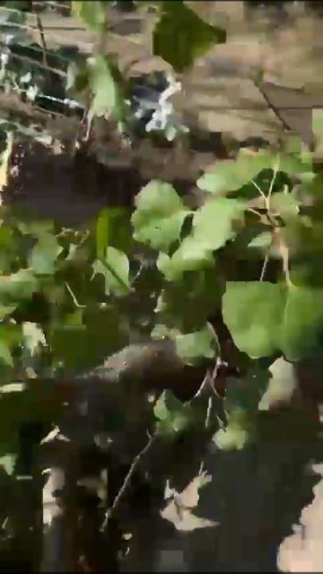 12 июля 2025 г. смотреть онлайн