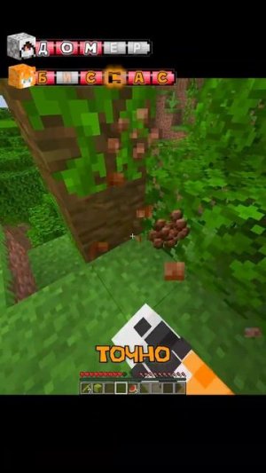 гонка имён в майнкрафт ссылка на тг в описании