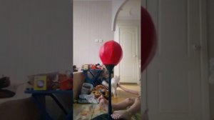 драюсь с допи помидорам 4 часть