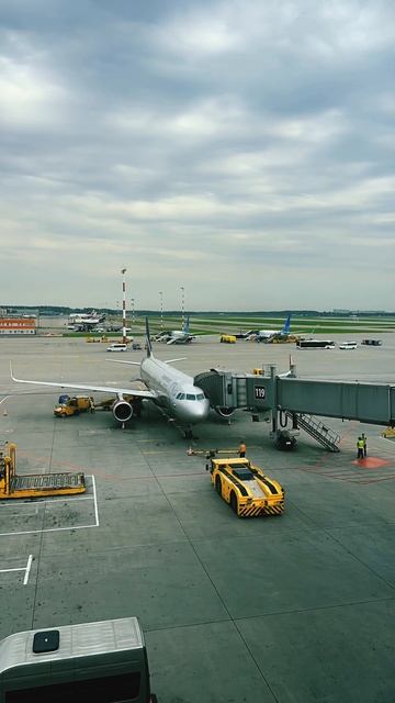 Несколько минут из жизни аэропорта Шереметьево смотреть онлайн