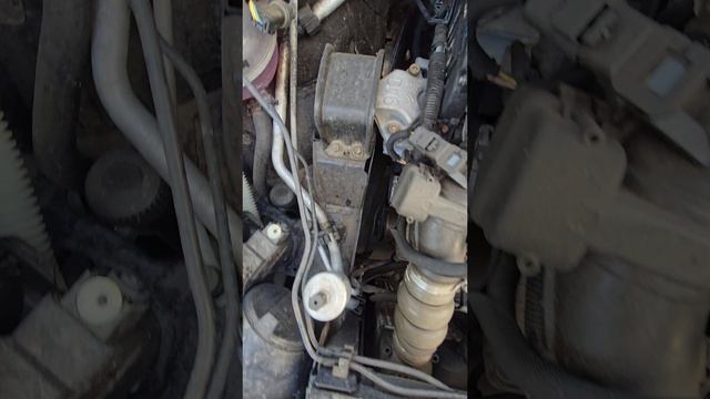 обзор на Peugeot 308 2009года в отличном состоянии 🔥 🔥 🔥 смотреть онлайн