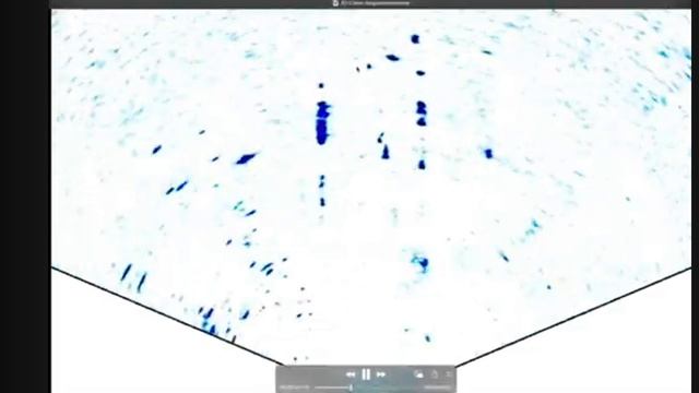 Scout Active Target смотреть онлайн