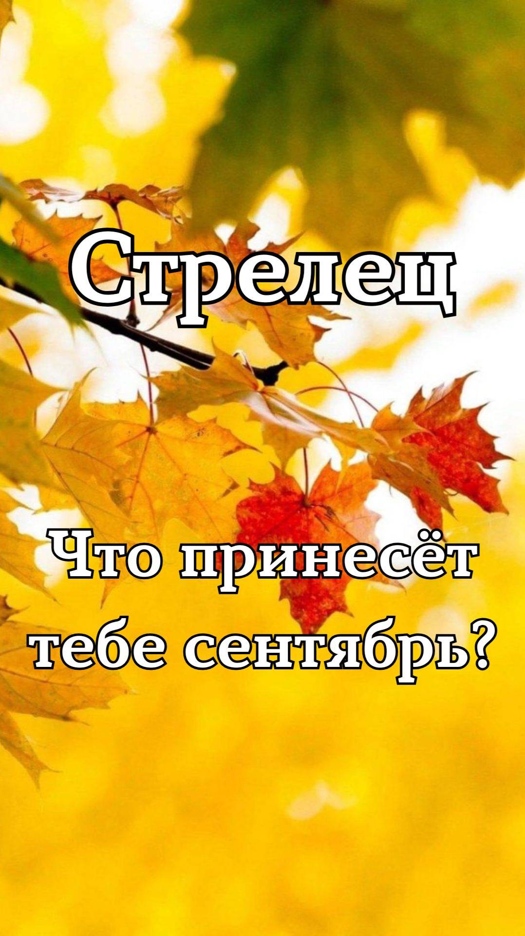 ✨Карта сентября✨Стрелец смотреть онлайн