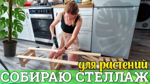 Собираю стеллаж👷♀️🔨 для растений🌱  Иногда нужно отпустить ситуацию🧘♀️