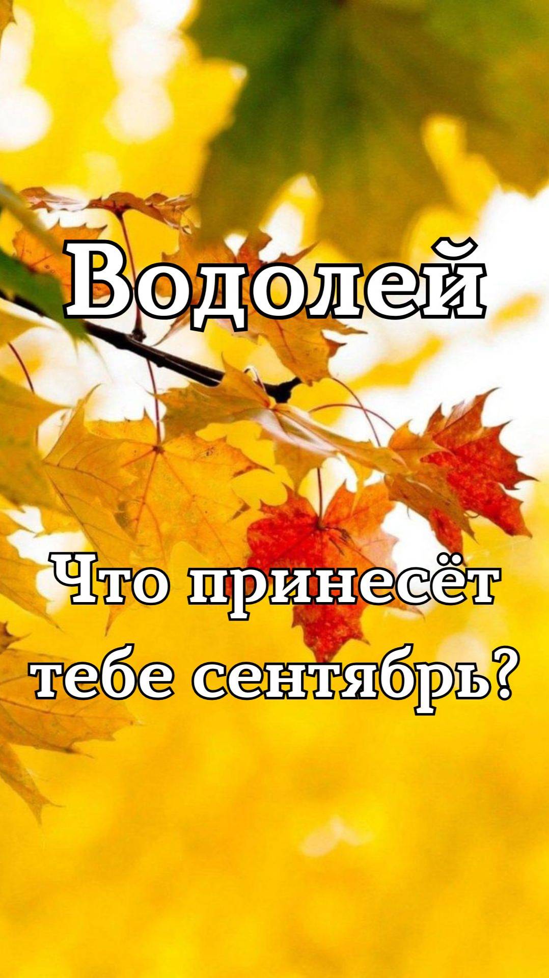 ✨Карта сентября✨Водолей смотреть онлайн