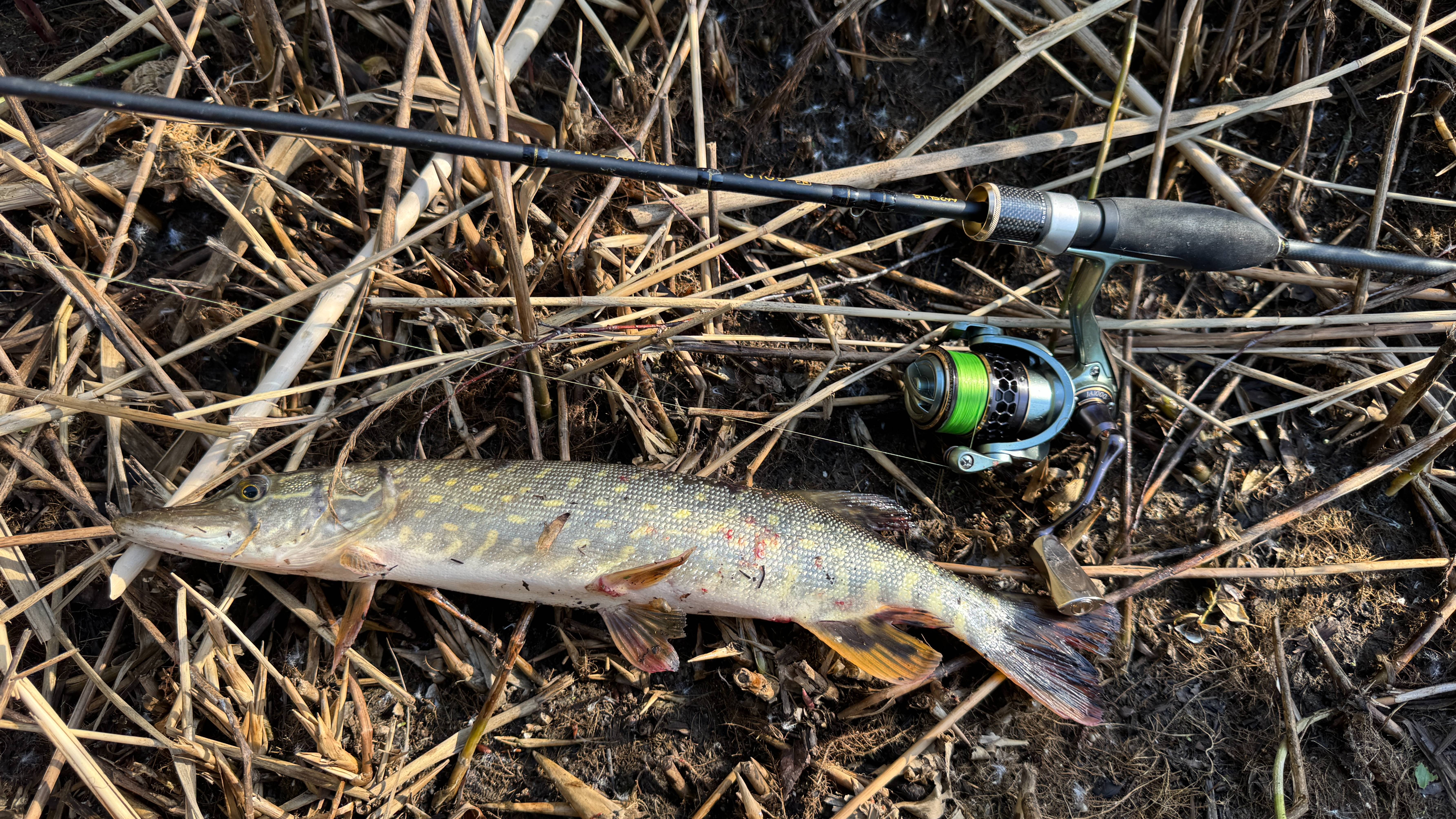 Весенняя рыбалка на спиннинг ультралайт. Блесна. Рыбалка на блесну.