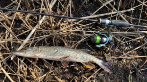 Весенняя рыбалка на спиннинг ультралайт. Блесна. Рыбалка на блесну.