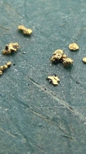 Золотой остров, золото из шлюза!