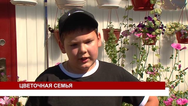 ЦВЕТОЧНАЯ СЕМЬЯ смотреть онлайн