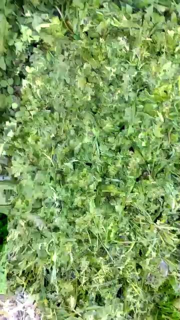 💝 смотреть онлайн