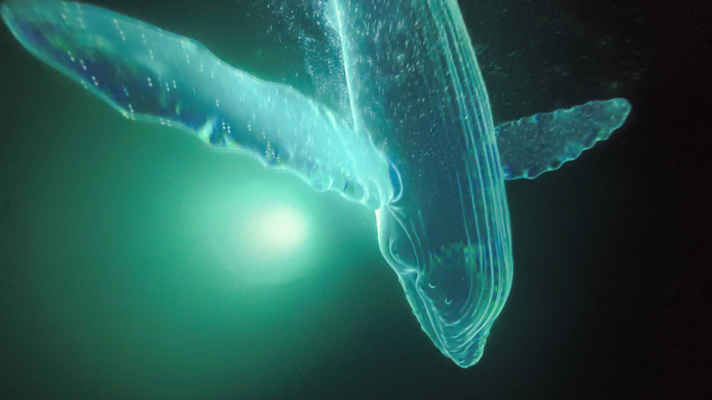 Галерея света в Абрау Дюрсо. смотреть онлайн