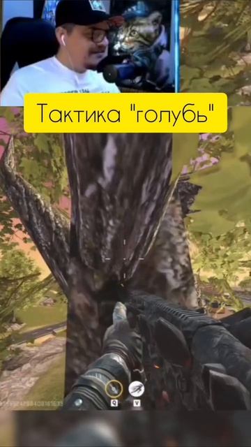 тактика "голубь". #bloodstrike #gameplay #блудстрайк #топ #подпишись смотреть онлайн