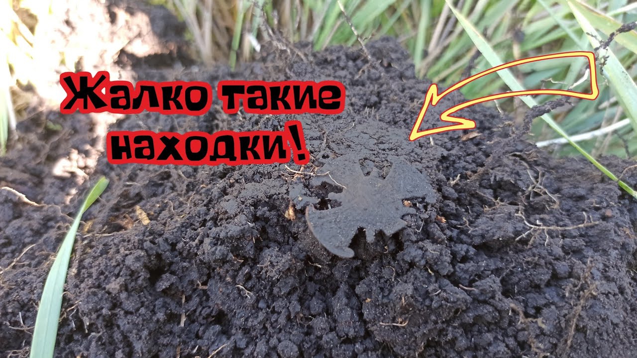 Коп монет на месте старой деревни. Поиск монет в поле 2025 смотреть онлайн