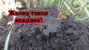 Коп монет на месте старой деревни. Поиск монет в поле 2025