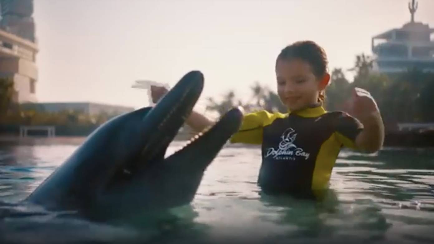 ATLANTIS THE PALM 5 * (ОАЭ; Дубай) | 316000.ru - лучшие цены! смотреть онлайн