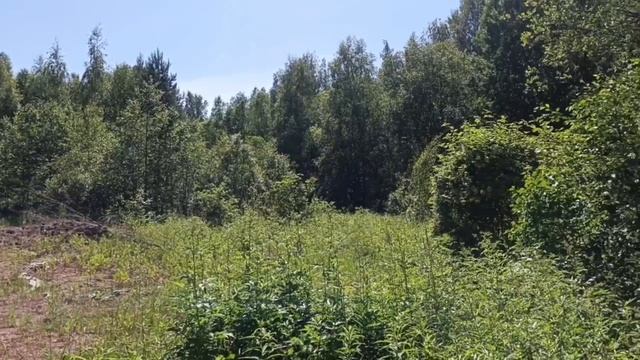 Чулково в стороне от трассы 