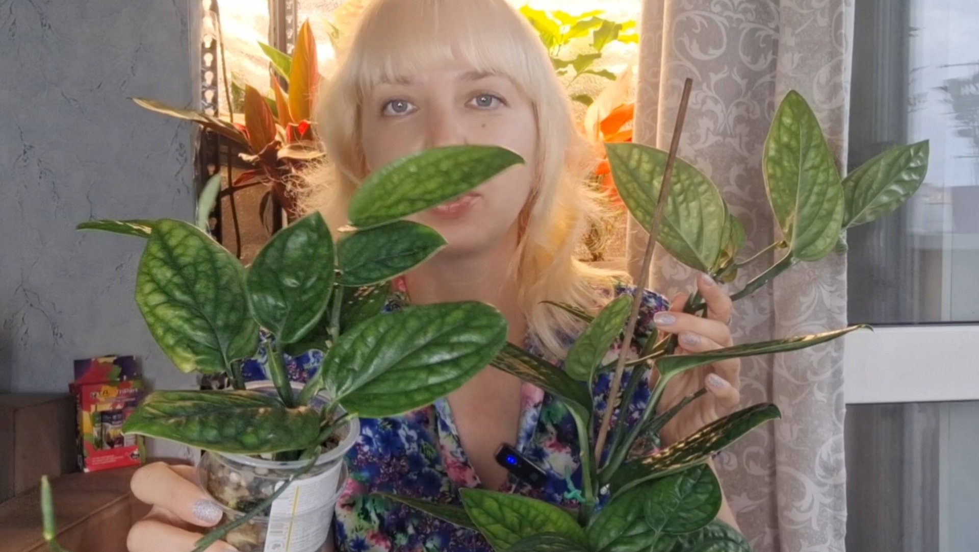 Опора для эпипремнума Марбл Планет смотреть онлайн