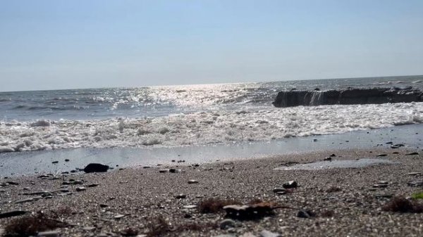 Веб камера Сочи