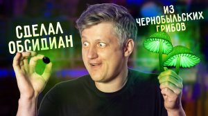 🔥 Сварил СТЕКЛО из ЧЕРНОБЫЛЬСКИХ ГРИБОВ