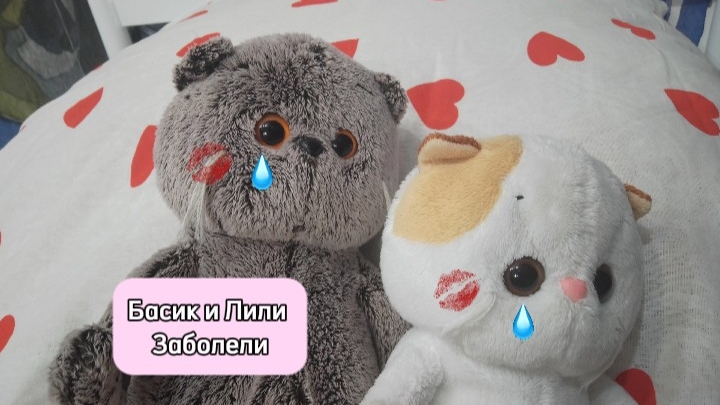 Басик и Лили Заболели смотреть онлайн