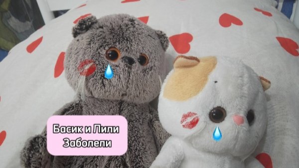 Басик и Лили Заболели