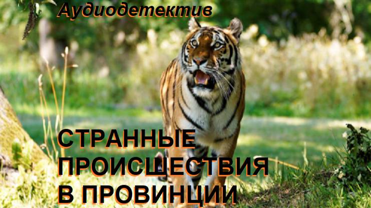 Аудиокнига "Странные присшествия в провинции" смотреть онлайн