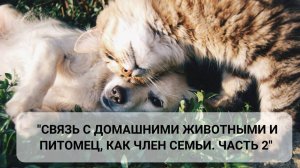 Связь с домашними животными. Питомцы, ушедшие на радугу (2 часть).  Как пережить утрату.