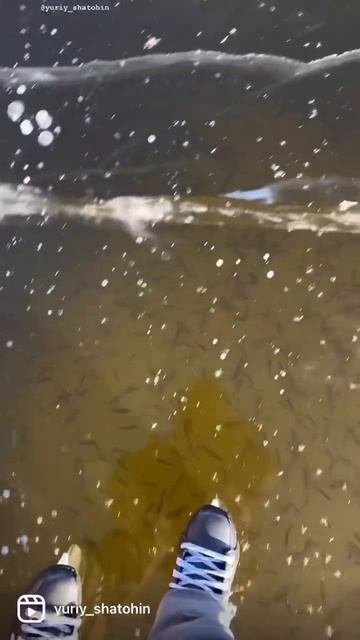 Волшебная Волга смотреть онлайн