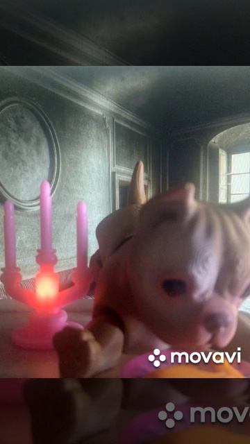 ко дню собаки - Кло и ее верная подруга Буля.mp4