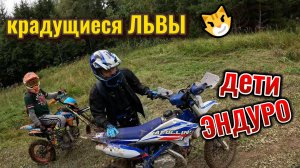 Крадущиеся ЛЬВЫ | ДЕТИ Эндуро | Покатушки по Лесу в Выходные