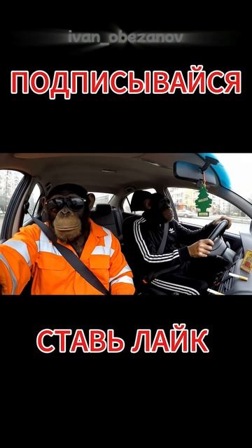 Гоша Обезьянов с братом в автосервисе смотреть онлайн