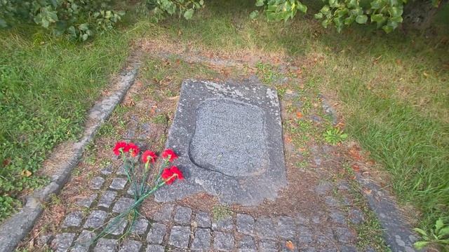 Выборг..парк Монрепо 👍♥️🇷🇺 смотреть онлайн