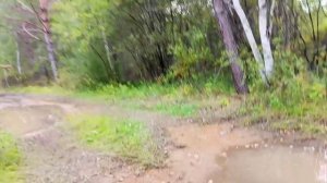 Сельские будни