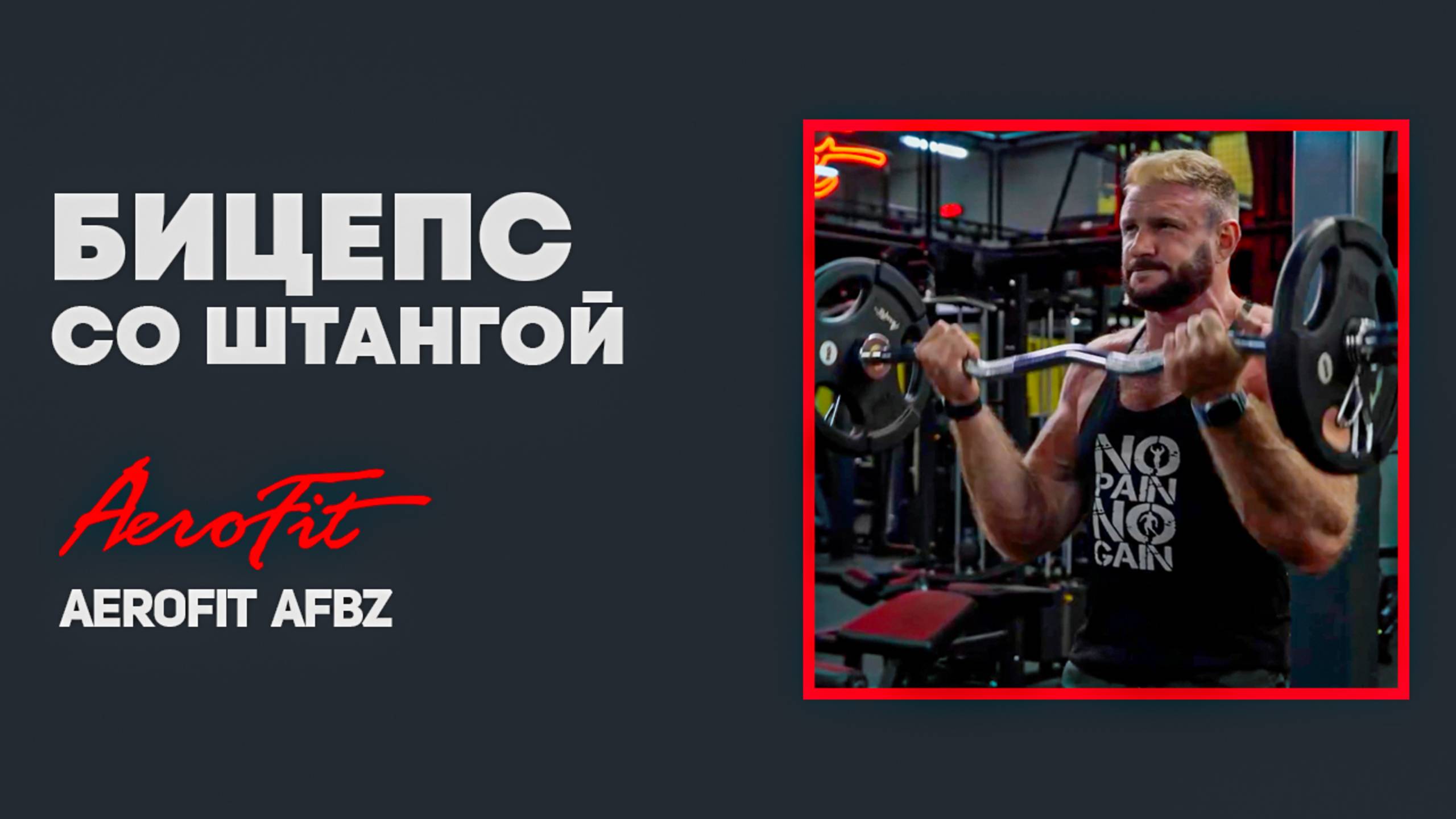 Бицепс со Штангой или Скамья Скотта? Разбор с Линдовером Aerofit AFBZ смотреть онлайн