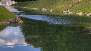 Кусково. 2025. Романс о прекрасном Тирсисе, комп. Дмитрий Бортнянский, 1793