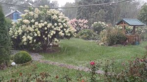 Непогода. Холод, дождь, град, гроза. Ленинградская область.