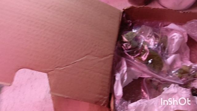 Девочки!! Радость радостная получила сегодня посылку с махровыми мини синингиями 🙏😇😇😇🤗 смотреть онлайн