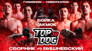 Сборник VS Вишневский, Бойка VS Чакмок, Губиянов VS Умбиткулов | TOP DOG 38, Казань