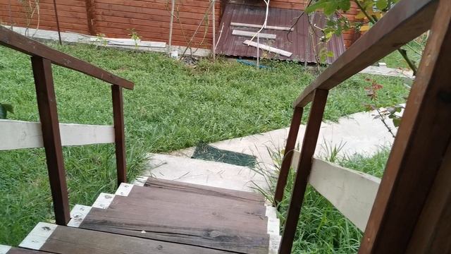 СОЧИ ГОРНОЕ ЛОО УТРО 26.08.2025 смотреть онлайн