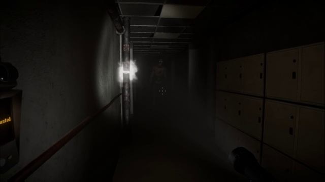 Vigil #vigil #videogames #gamer #pcgames #steam