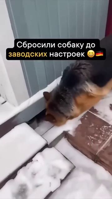 Заводские настройки) смотреть онлайн